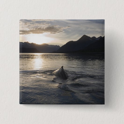 USA, Alaska, Glacier Bay National Park, Button (Vorderseite)