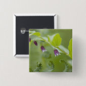 USA, Alaska, Glacier Bay National Park. Button (Vorne & Hinten)