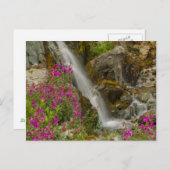 USA, Alaska, Glacier Bay National Park. Feuerweh Postkarte (Vorne/Hinten)