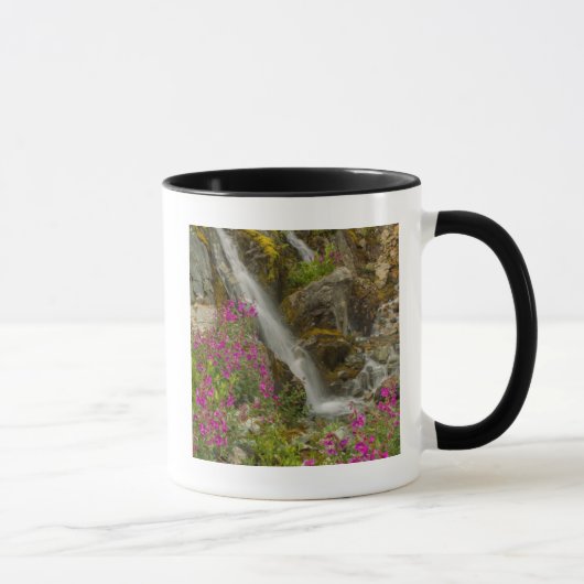 USA, Alaska, Glacier Bay National Park. Feuerweh Tasse (Rechts)