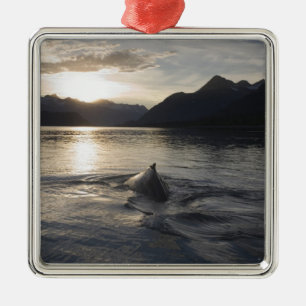 USA, Alaska, Glacier Bay National Park, Ornament Aus Metall
