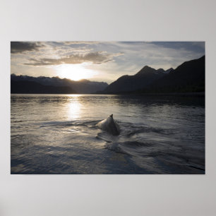 USA, Alaska, Glacier Bay National Park, Poster