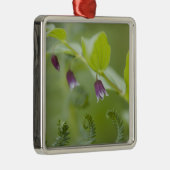 USA, Alaska, Glacier Bay National Park. Silbernes Ornament (Rechts)