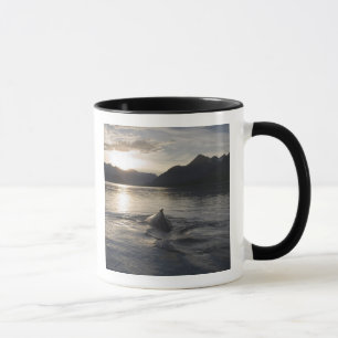 USA, Alaska, Glacier Bay National Park, Tasse
