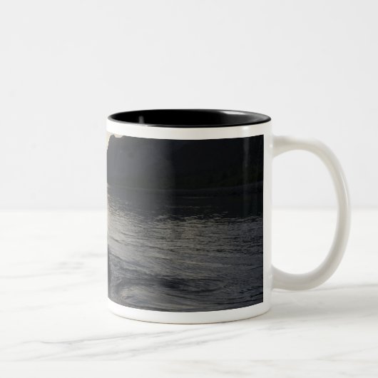 USA, Alaska, Glacier Bay National Park, Zweifarbige Tasse (Rechts)