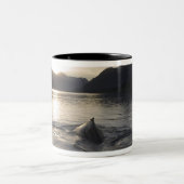 USA, Alaska, Glacier Bay National Park, Zweifarbige Tasse (Mittel)