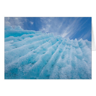 USA, Alaska, Glacier-Bay-Nationalpark 4