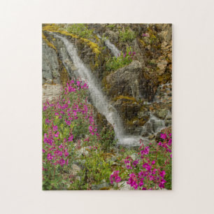 USA, Alaska, Glacier-Bay-Nationalpark. Schmalblätt Puzzle