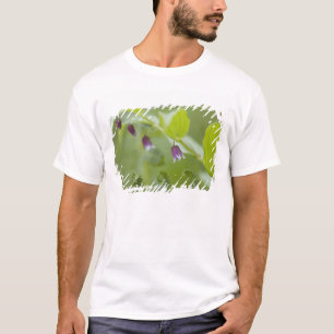 USA, Alaska, Glacier-Bay-Nationalpark. T-Shirt
