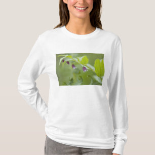 USA, Alaska, Glacier-Bay-Nationalpark. T-Shirt