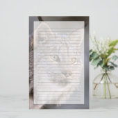 USA, Alaska, Haines. Lynx (Felis 2 Briefpapier (Stehend Vorderseite)