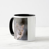 USA, Alaska, Haines. Lynx (Felis 2 Tasse (Vorderseite Links)