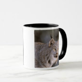 USA, Alaska, Haines. Lynx (Felis 2 Tasse (VorderseiteRechts)