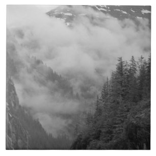 USA, Alaska, Juneau, Regenwald bedeckt Fjorde in Fliese