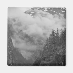 USA, Alaska, Juneau, Regenwald bedeckt Fjorde in Magnet