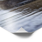 USA, Alaska, Katmai National Park, Brown Bear Fotodruck (Ecke)