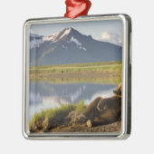 USA, Alaska, Katmai National Park, Brown Bears Silbernes Ornament (Links)
