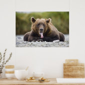 USA, Alaska, Katmai National Park, Kukak Bay, Poster (Küche)