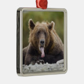 USA, Alaska, Katmai National Park, Kukak Bay, Silbernes Ornament (Rechts)