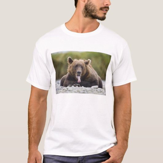 USA, Alaska, Katmai National Park, Kukak Bay, T-Shirt (Vorderseite)