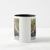 USA, Alaska, Katmai National Park, Kukak Bay, Tasse (Zentrum)