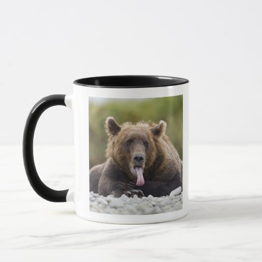 USA, Alaska, Katmai National Park, Kukak Bay, Tasse (Links)