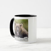 USA, Alaska, Katmai National Park, Kukak Bay, Tasse (Vorderseite Links)