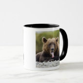 USA, Alaska, Katmai National Park, Kukak Bay, Tasse (VorderseiteRechts)