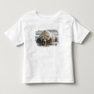 USA, Alaska, Katmai-Nationalpark, Braunbär Kleinkind T-shirt