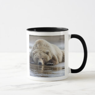USA, Alaska, Katmai-Nationalpark, Braunbär Tasse