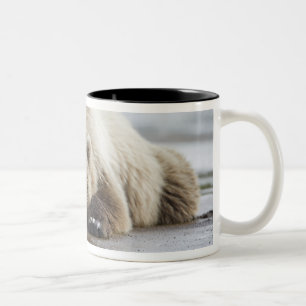 USA, Alaska, Katmai-Nationalpark, Braunbär Zweifarbige Tasse