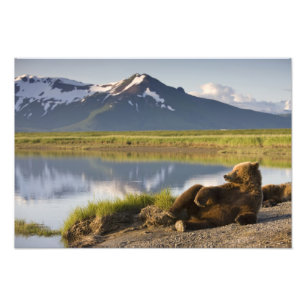 USA, Alaska, Katmai-Nationalpark, Braunbären Fotodruck