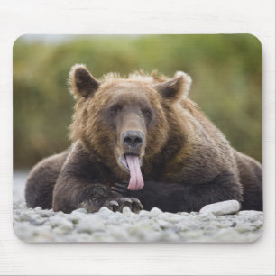 USA, Alaska, Katmai-Nationalpark, Kukak Bay, Mousepad