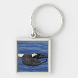 USA, Alaska, Kenai-Halbinsel Weißkopfseeadler Schlüsselanhänger