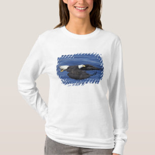 USA, Alaska, Kenai-Halbinsel Weißkopfseeadler T-Shirt
