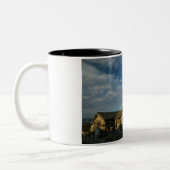 USA, ALASKA, KENAI PENINSULA, HOMER: Homer-Spange Zweifarbige Tasse (Links)