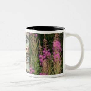 USA, Alaska, Ketchikan, Totem Bight Staat Zweifarbige Tasse