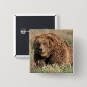 USA, Alaska, Kodiak Island, Button (Vorne & Hinten)