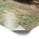 USA, Alaska, Kodiak Island, Fotodruck (Ecke)