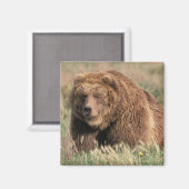 USA, Alaska, Kodiak Island, Magnet (Vorderseite/Rückseite)