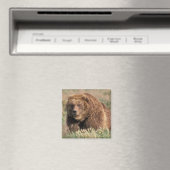 USA, Alaska, Kodiak Island, Magnet (In Situ (Geschirrspüler))