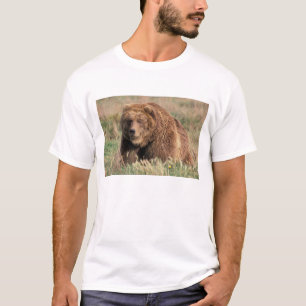 USA, Alaska, Kodiak Island, T-Shirt