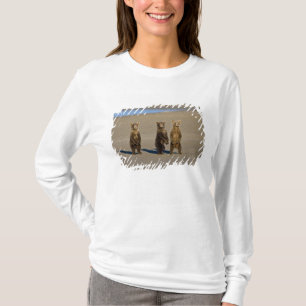 USA. Alaska. Küstenbraunbären-Jungtiere T-Shirt