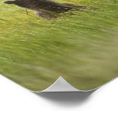 USA, Alaska, Lake Clark National Park. A Poster (Ecke)