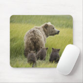 USA, Alaska, Lake Clark National Park. Grizzly Mousepad (Mit Mouse)