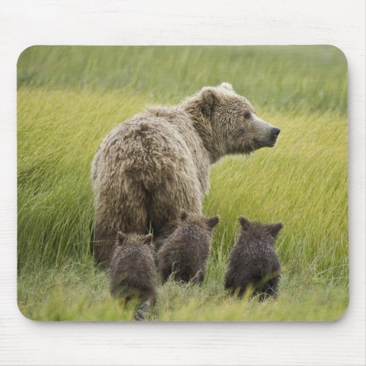 USA, Alaska, Lake Clark National Park. Grizzly Mousepad (Vorne)