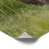 USA, Alaska, Lake Clark National Park. Grizzly Poster (Ecke)