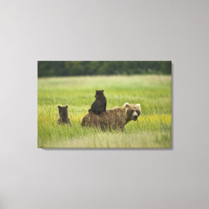 USA, Alaska, Lake Clark National Park Leinwanddruck