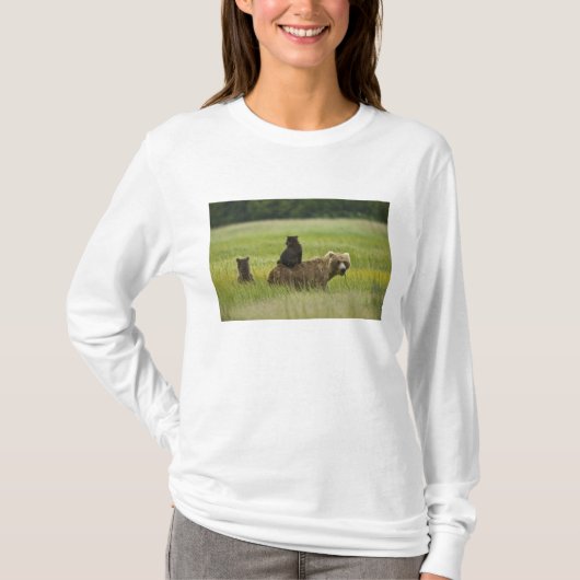 USA, Alaska, Lake Clark National Park T-Shirt (Vorderseite)