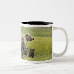 USA, Alaska, Lake Clark Nationalpark. Grizzly Zweifarbige Tasse